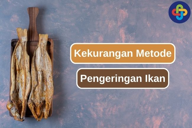 5 Alasan Metode Pengeringan Ikan Perlu Dipertimbangkan